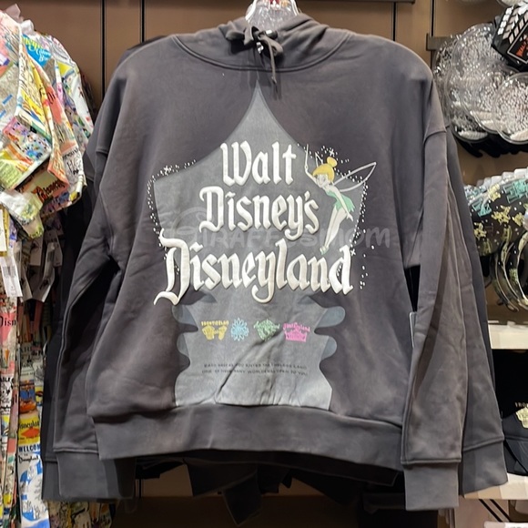 Disney Sweaters - Disney100 Walt Disney’s Disneyland Semi-Cropped Pullover Hoodie